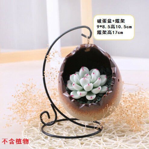 European iron hook fleshy flowerpot ornaments "4029 iron broken eggs"