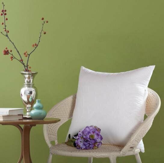 Sofa car office backrest cushion sanding pillow core (1 Pack) "pure white size 50*50cm" does not include a cover
