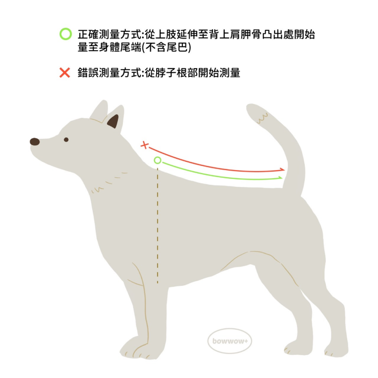 狗狗背長測量示意圖