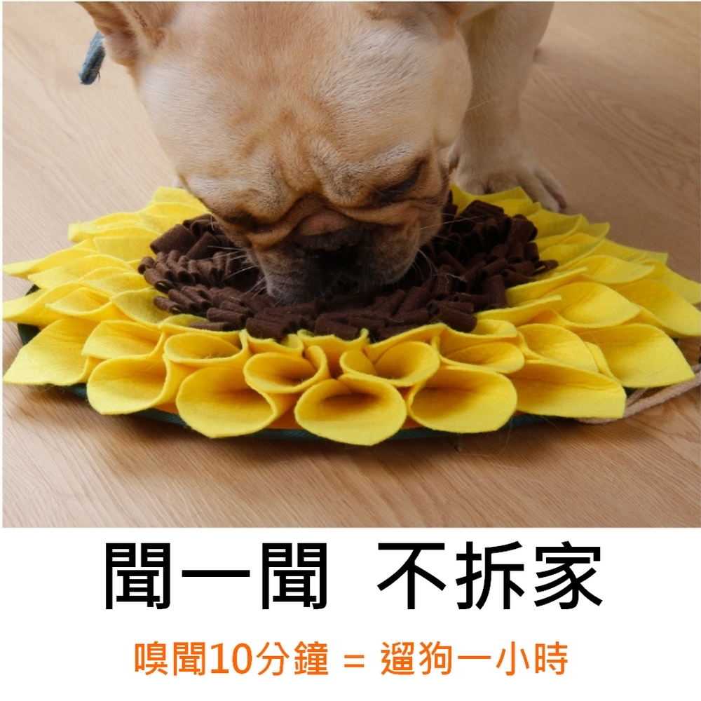 狗狗向日葵嗅聞墊