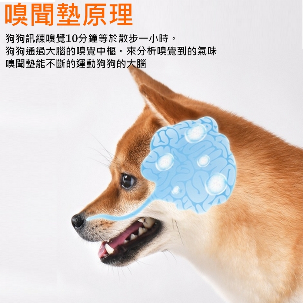 狗狗向日葵嗅聞墊