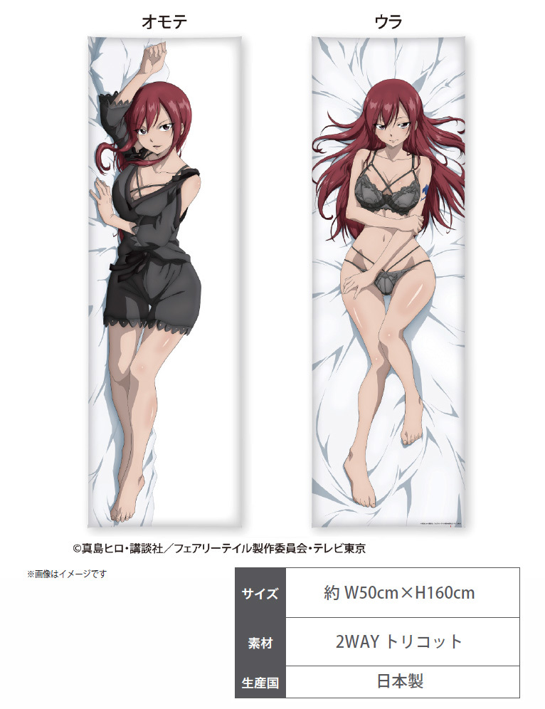 「ACG.GO」「預購」日版 DMM.com 妖精的尾巴 2Way抱枕套 艾爾莎/ 露西