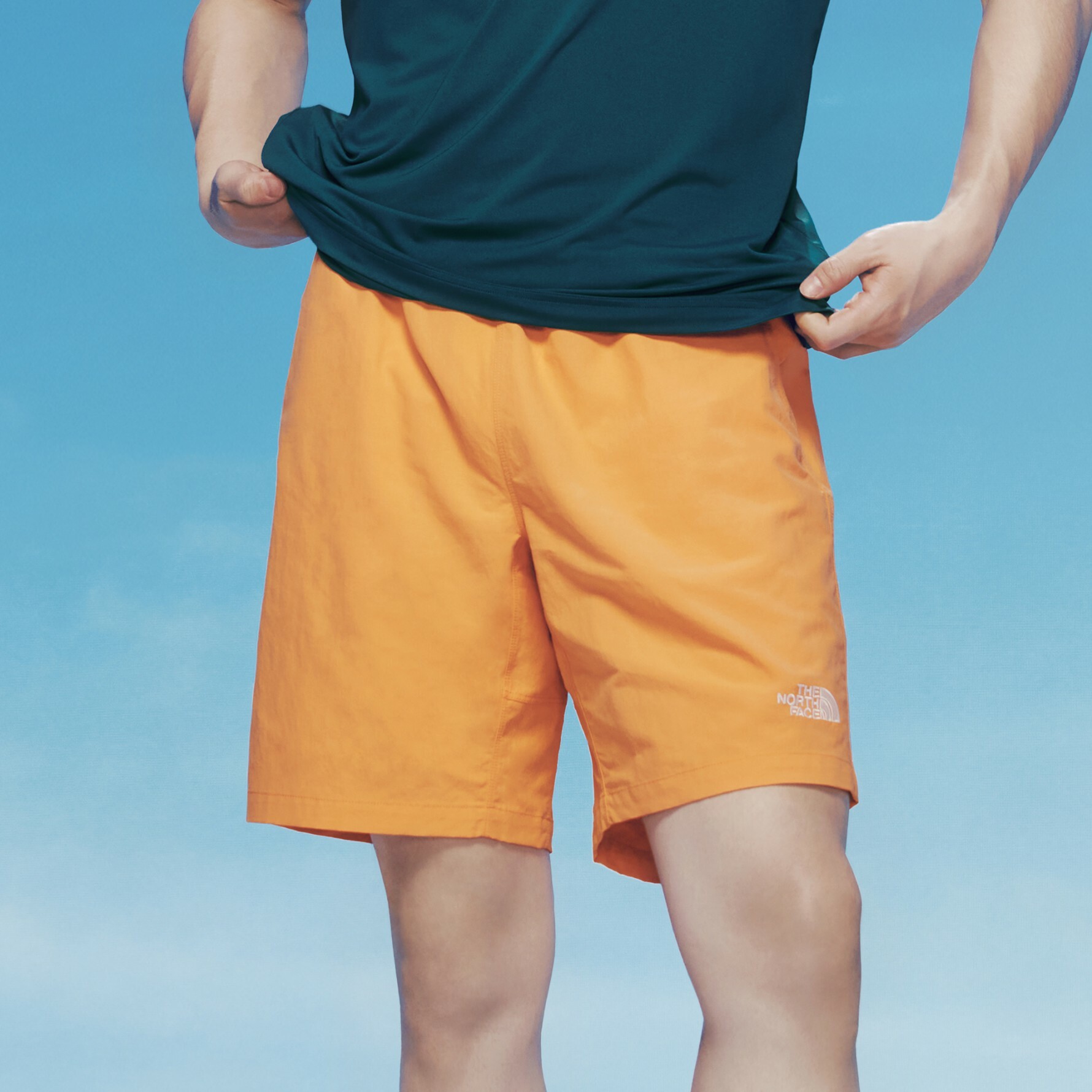 ★★THE NORTH FACE★★ Daily Essential Shorts NS6NQ03B Szorty The North Face Essential Relaxed - czarny (tnf black)