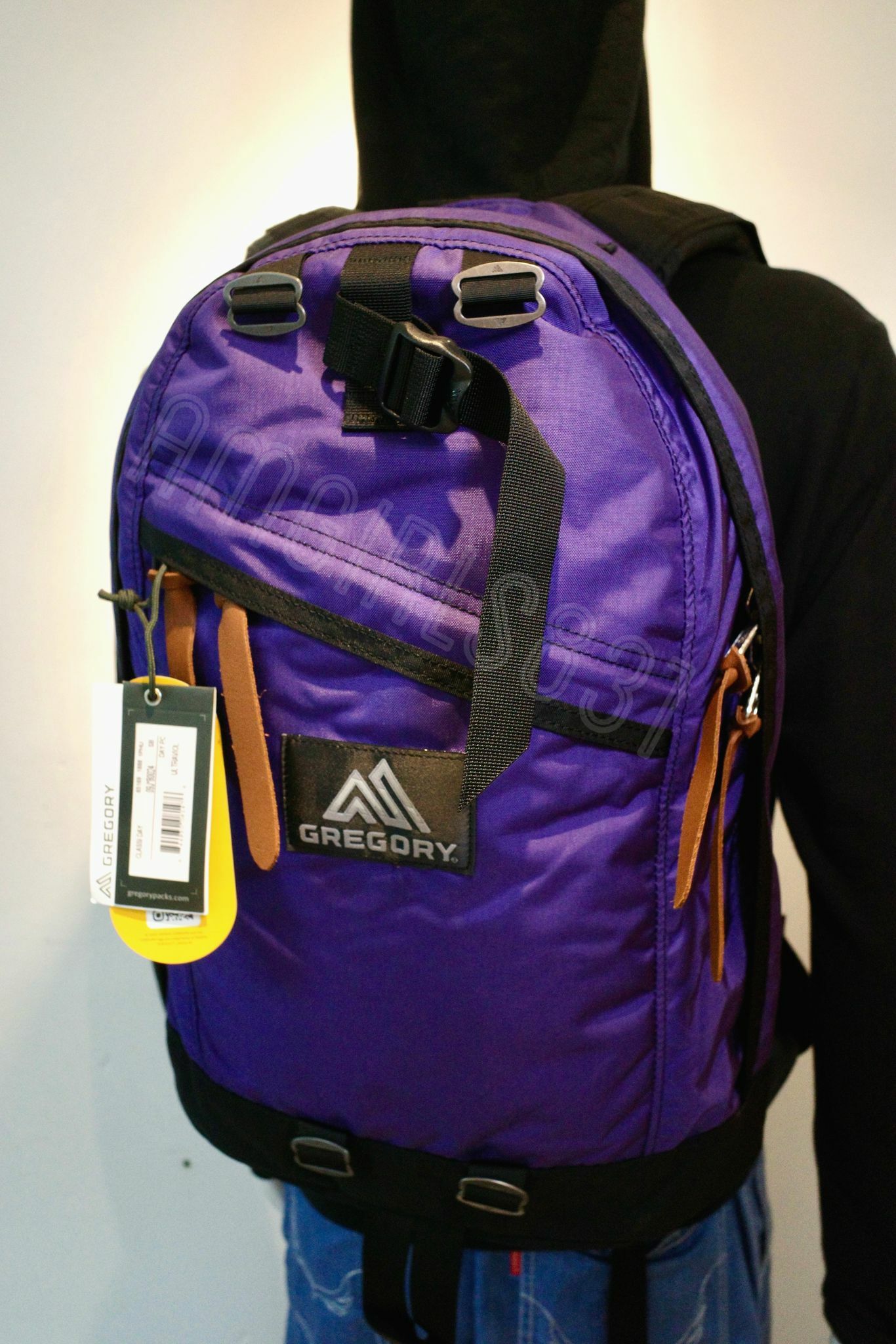 Gregory day pack violet