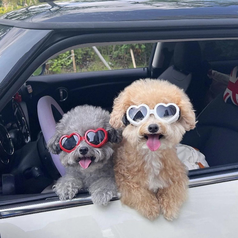 O'Pretty 歐沛媞 Petsall 寵物護目鏡(時尚太陽眼鏡+防風護目眼鏡)-多色