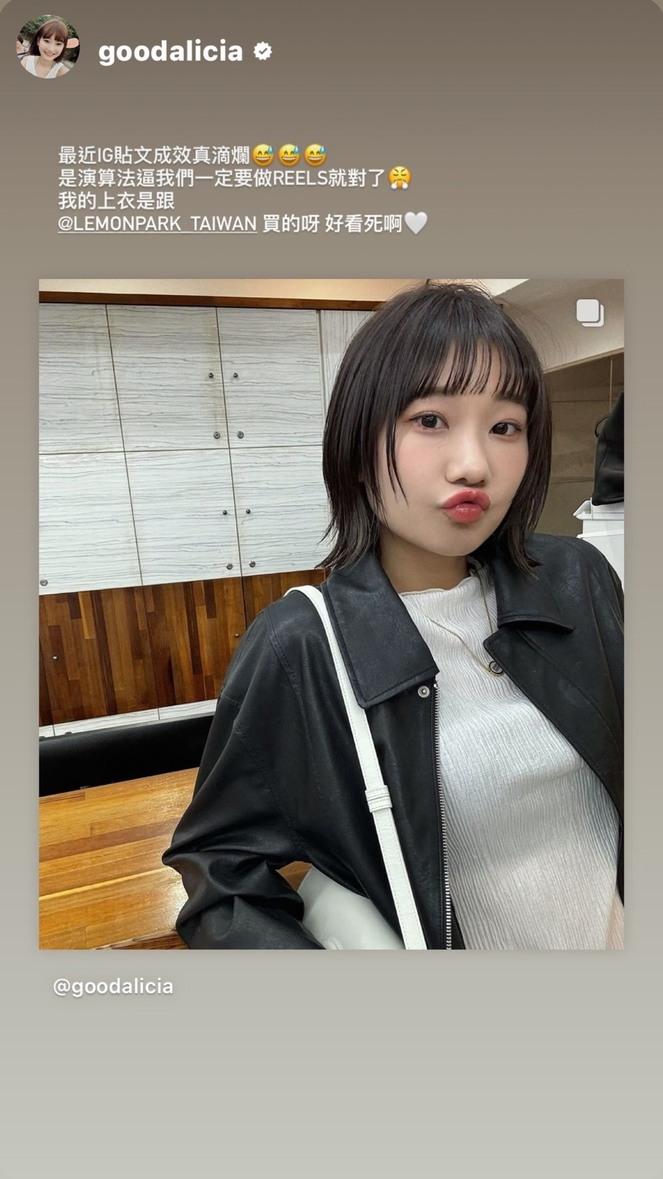 韓國Cherrykoko授權 浪漫百搭皺感壓紋半高領上衣