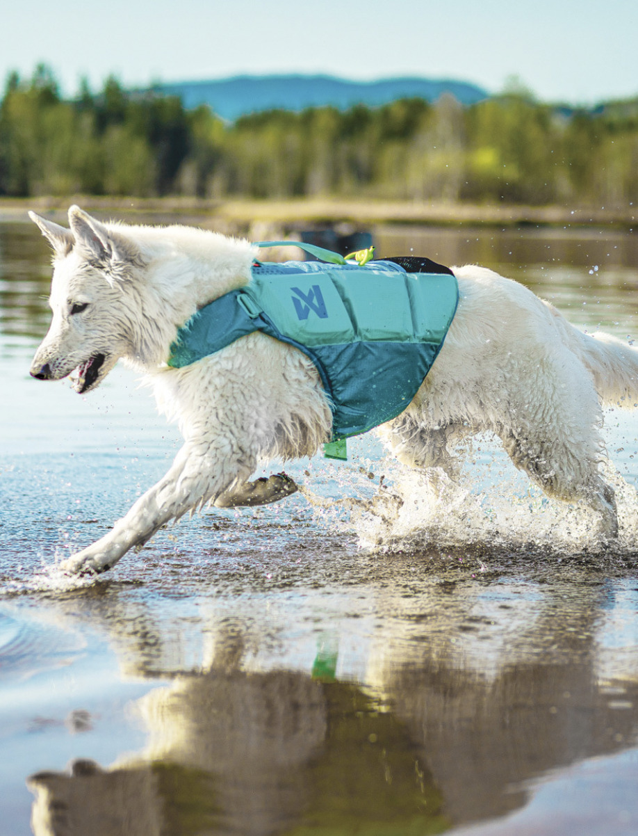 【Non-stop dogwear】PROTECTOR浮水救生衣(湖水綠）