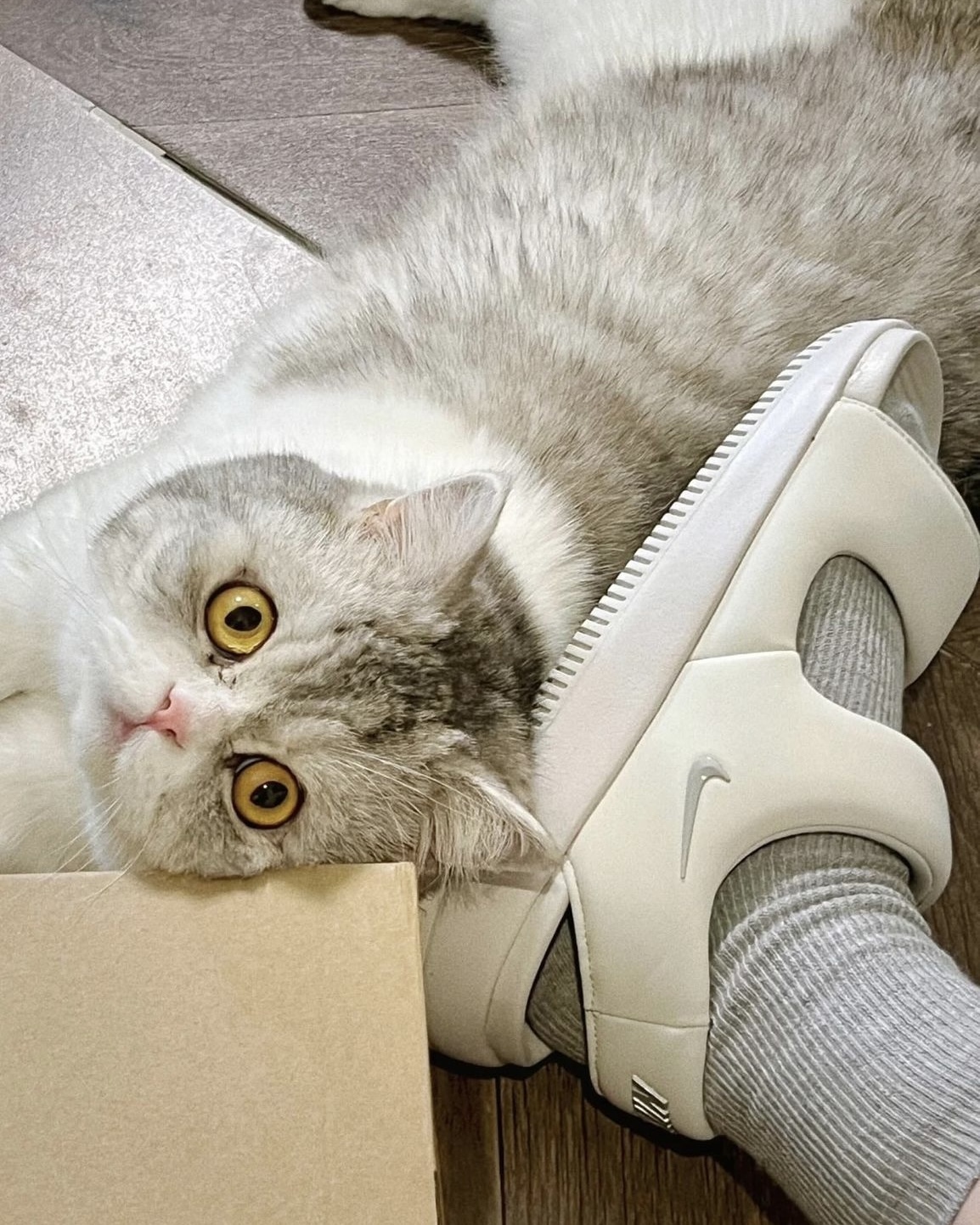 【現貨】Nike Calm Sandal 厚底 麵包 涼鞋