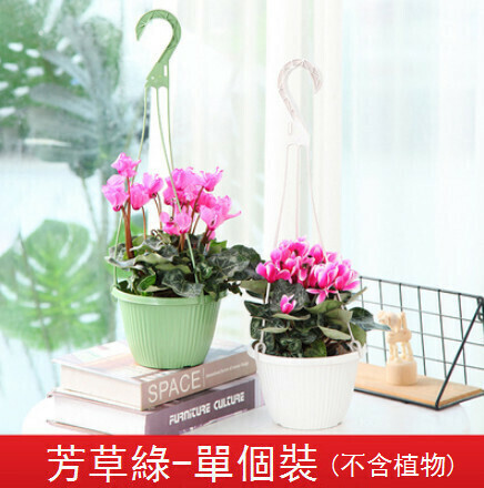 Hanging hook hanging basket flower pot【Yerba Grass Green B165 hanging basket pot】