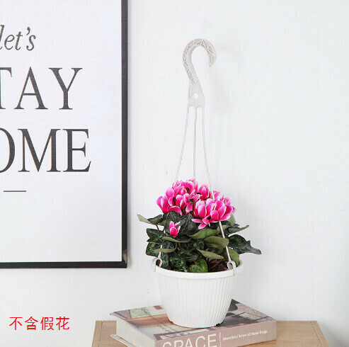 Hanging hook hanging basket flower pot【Ivory B165 hanging basket pot】
