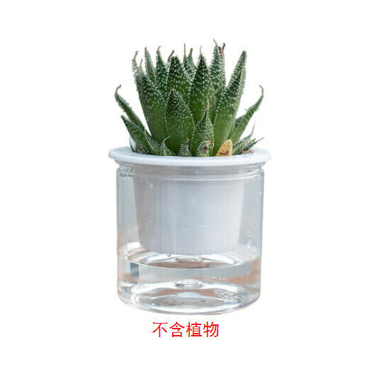 Automatic absorbent lazy flower pot [transparent without LOGO 120# outer diameter 11* height 12cm]