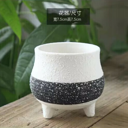 Ceramic snowflake glazed succulent flower pot [style 2]