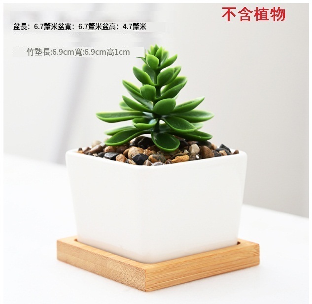 Simple white porcelain succulent mini flower pot [medium square pot + bottom bracket]