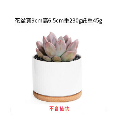 Simple white porcelain succulent mini flower pot [9*6.5cm pot + bottom bracket]