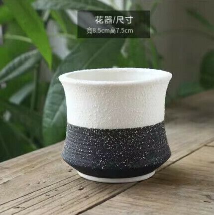 Ceramic snowflake glazed succulent flower pot [style 5]