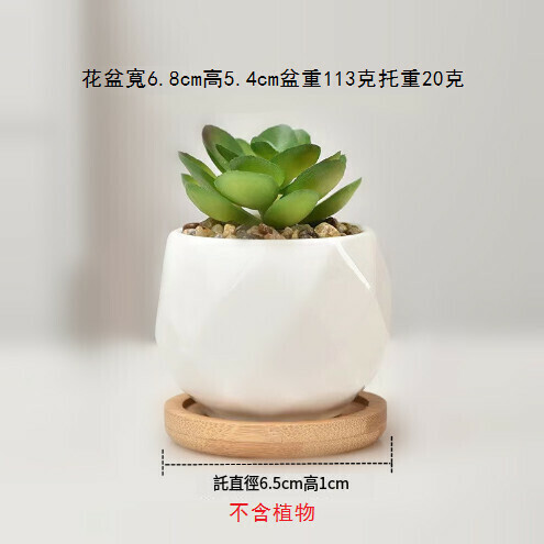 Simple white porcelain succulent mini flower pot [small masonry pot + bottom bracket]