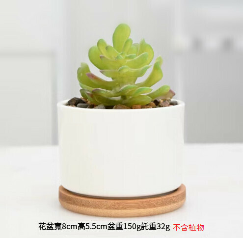 爆款簡約白瓷多肉迷你花盆【8*5.5cm盆+底托】