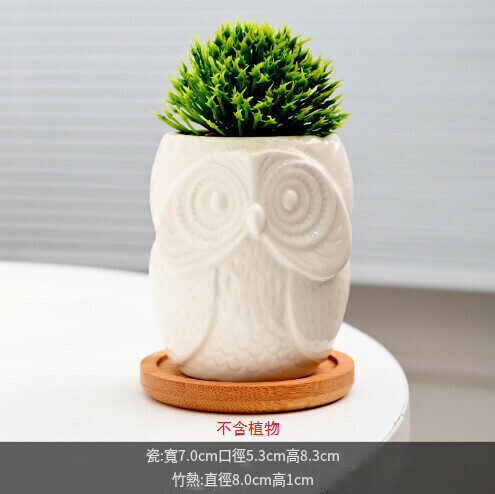 Creative white porcelain owl succulent flower pot [style 10]