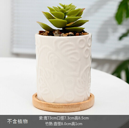 Creative White Porcelain Succulent Flower Pot [Style 3]