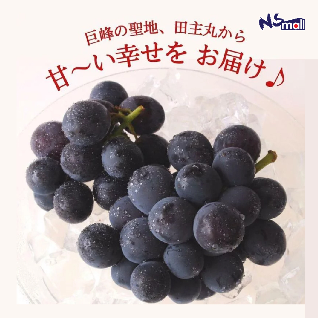 山梨巨峰葡萄 禮盒