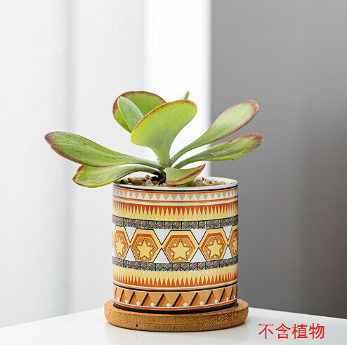 Ceramic Succulent Flower Pot【Yellow-Caihe-2】