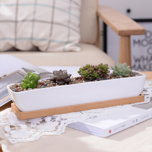 Ceramic succulent plant pot [long strip + bamboo tray (without plants)]