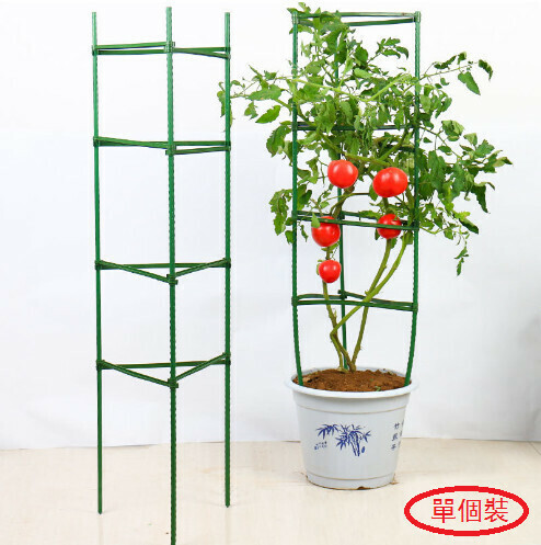激抵番茄支柱支架【中等11mm*高150cm三桿9卡（30cm）】