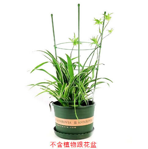 Gardening Pillar Fixed Climbing Stand [Green Diameter 6mm Length 90cm]