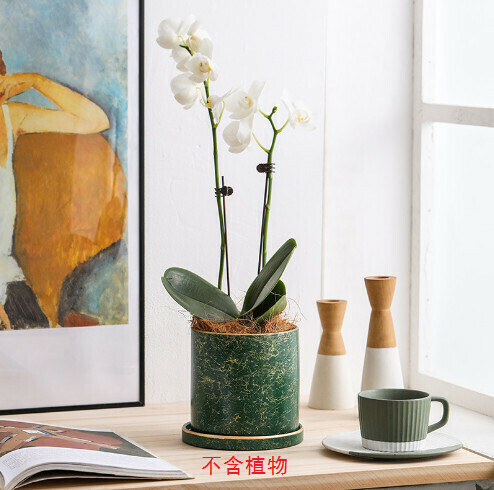 Nordic Ceramic Flower Pot【Ruby Green 14cm】