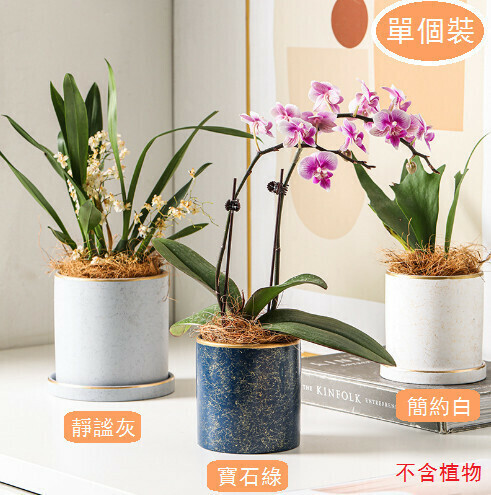 Nordic ceramic flower pot【Simple white 14cm】