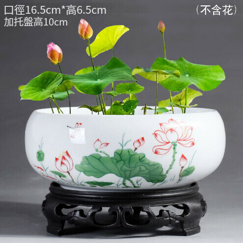 Ceramic Flower Pot【Medium Lotus Dragonfly Hydroponic Pot with Base】
