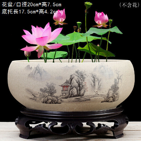 Ceramic flower pot【Large landscape hydroponic pot with base】