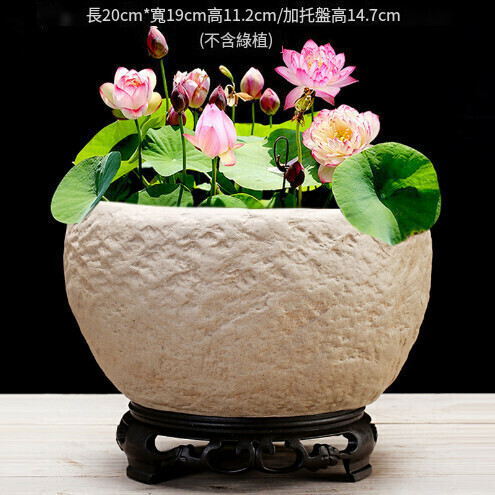 Ceramic flower pot [large imitation stone hydroponic pot with base]