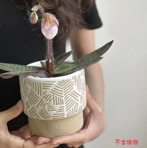 Succulent frosted ceramic flower pot [irregular pattern]