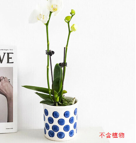 Morandi blue and white ceramic flower pot [blue polka dots]