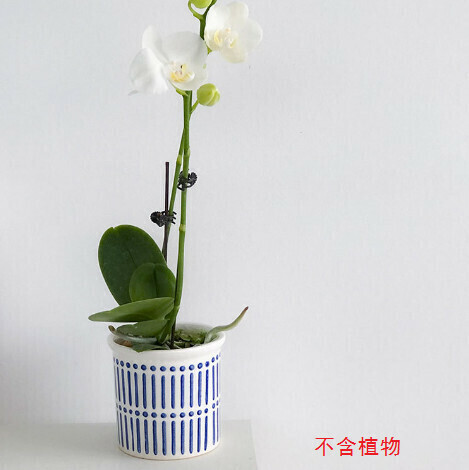 Morandi blue and white ceramic flower pot [blue stripes]