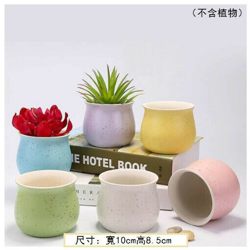 【6pcs】Succulent ceramic flower pot (WW reverse mouth maca)