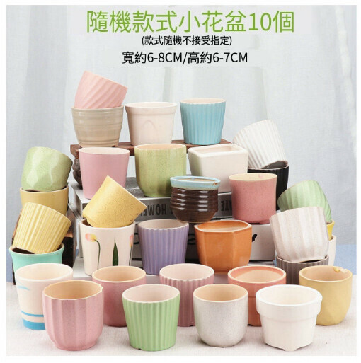 【10 pieces】Succulent ceramic flower pot (WW small flower pot style random)