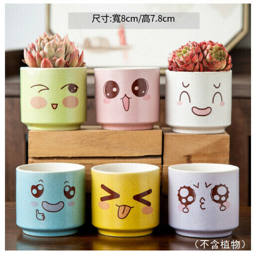 【6pcs】Succulent Ceramic Flower Pot (WW Quirky)