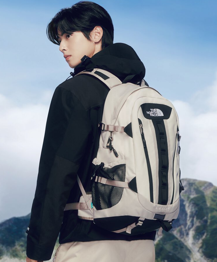 THE NORTH FACE BIG SHOT BACKPACK
