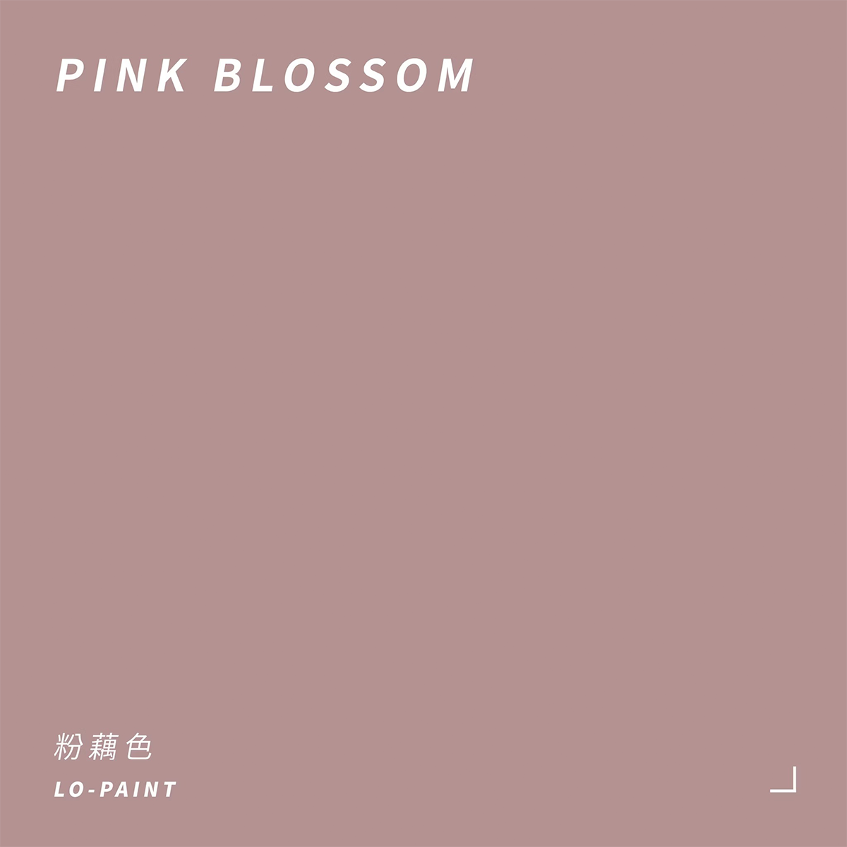 粉藕色 Pink blossom｜風格油漆