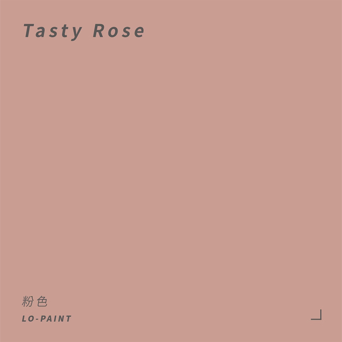 粉色 Tasty Rose｜風格油漆