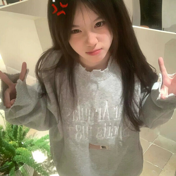 Popular embroidered letter sweater (grey) (S/M/L/XL/2XL sizes will be shipped after placing the order and contact customer service)
