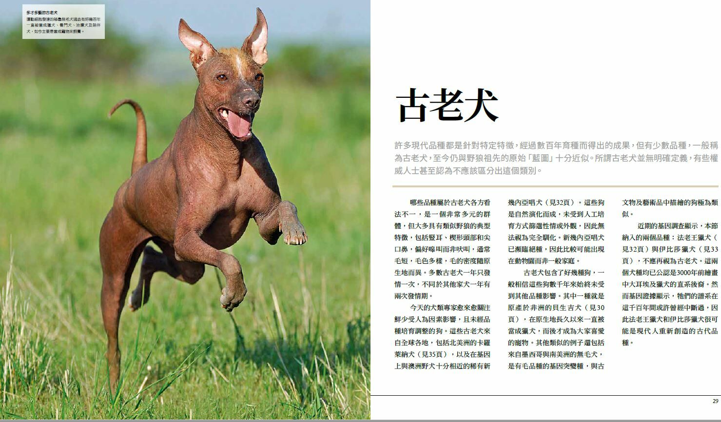 終極狗百科（最新修訂版）：最完整的犬種圖鑑與養育指南