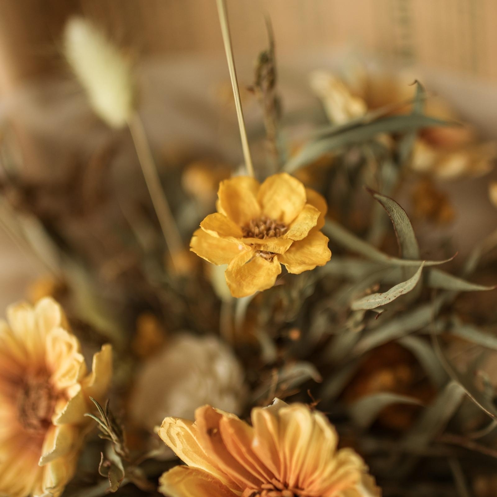 永生橙黃 | 花束