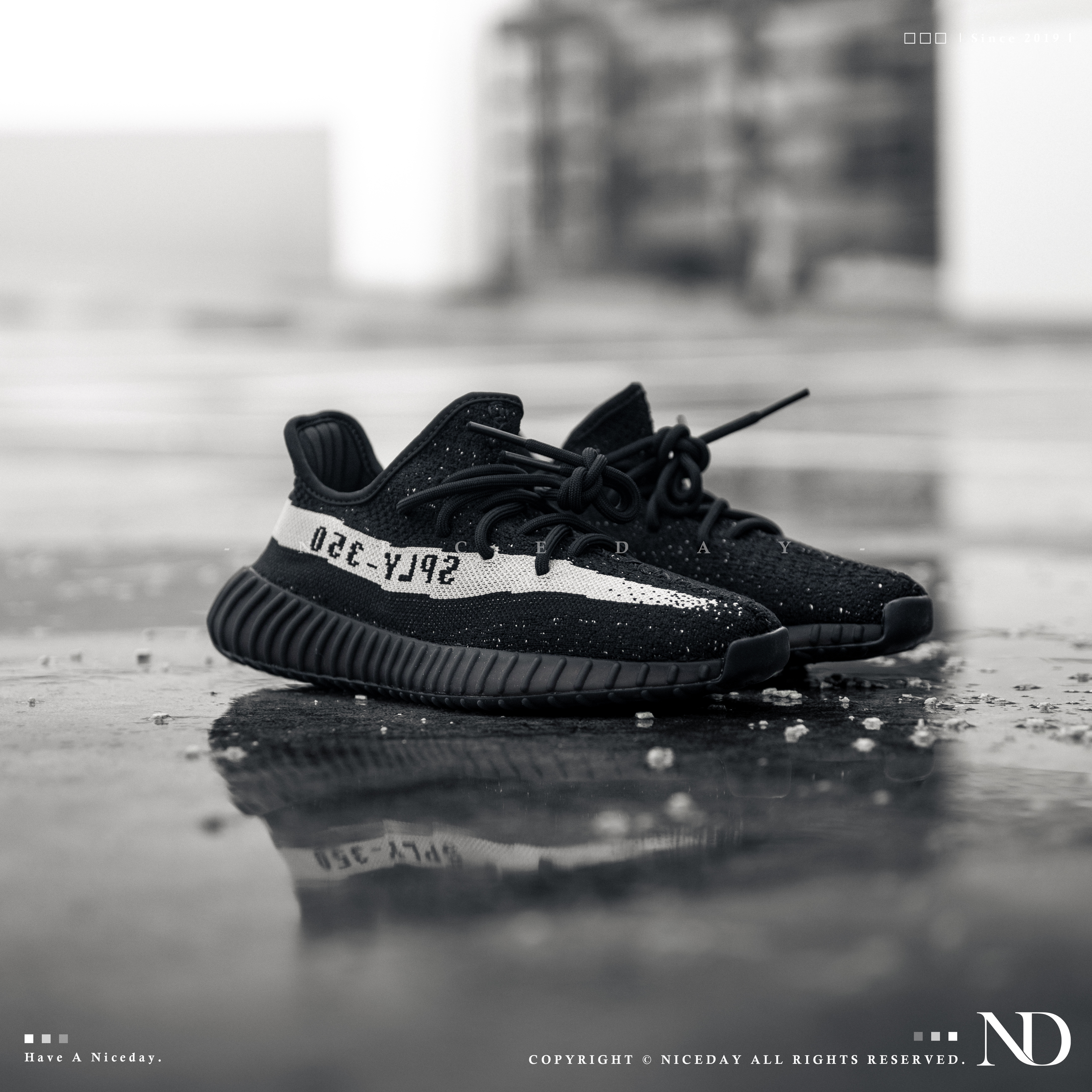 NiceDay 代購 Yeezy Boost 350 V2 OREO 黑白 男女尺寸 BY1604