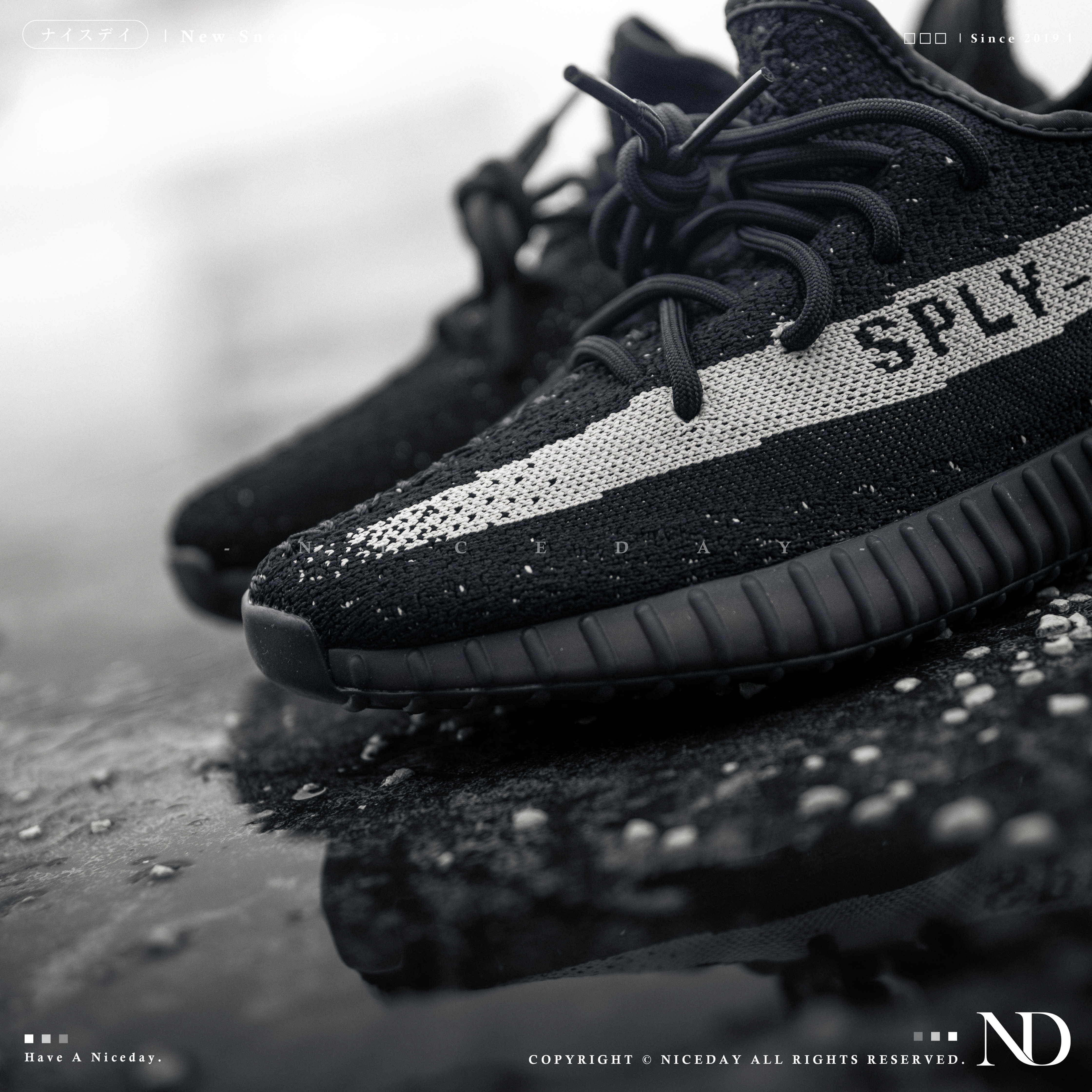 NiceDay 代購 Yeezy Boost 350 V2 OREO 黑白 男女尺寸 BY1604