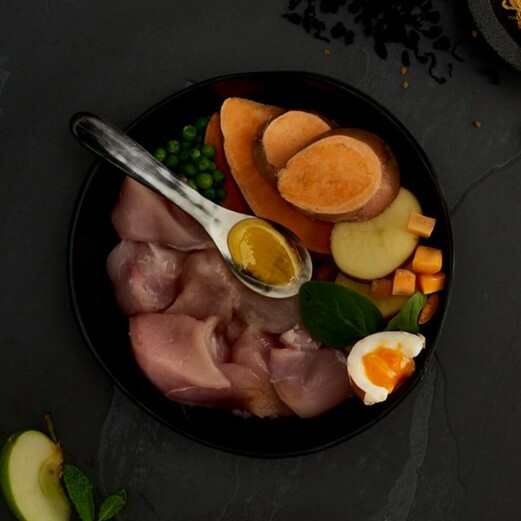 Canagan 小型犬用無穀物走地雞配方(淺綠) 2kg／6kg