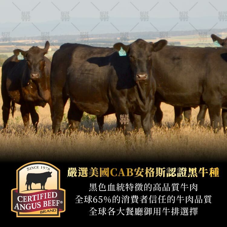 嚴選美國CAB安格斯認證黑牛