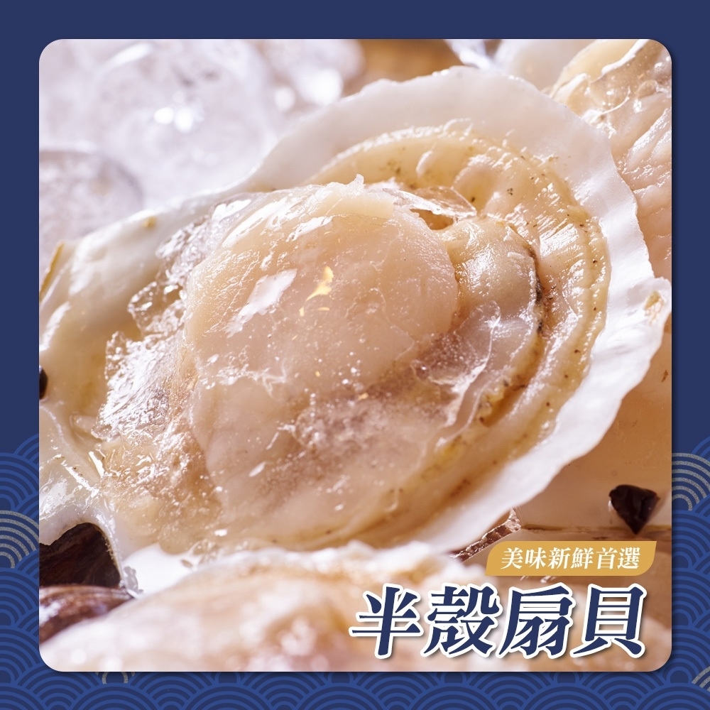 半殼扇貝6/7